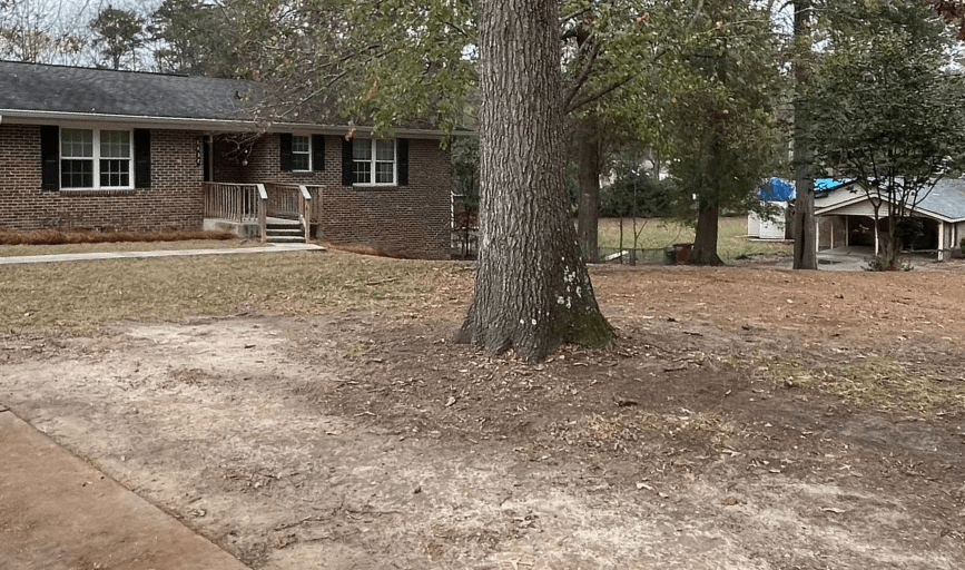YARD CLEANUP